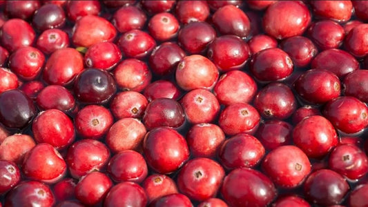 Can Cranberries prevent urinary tract infections in cats? - Wishbone Pet Foods NZ
