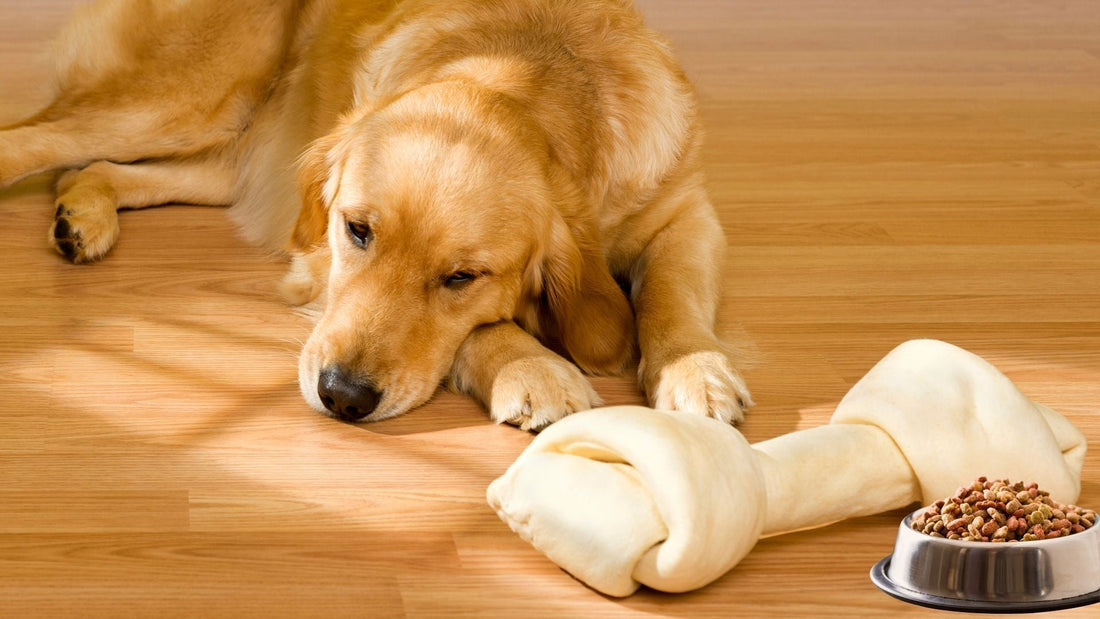 How Freeze-Dried Raw Can Cure Your Picky Pets’ Mealtime Boredom - Wishbone Pet Foods NZ