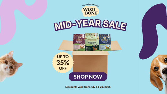 Superfoods for Super Pets: How Wishbone’s Nutrient-Rich Recipes Benefit Your Pet - Wishbone Pet Foods NZ
