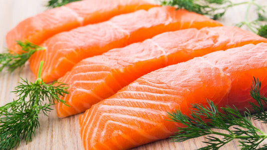 The Taste of Sustainability: New Zealand's King Salmon - Wishbone Pet Foods NZ