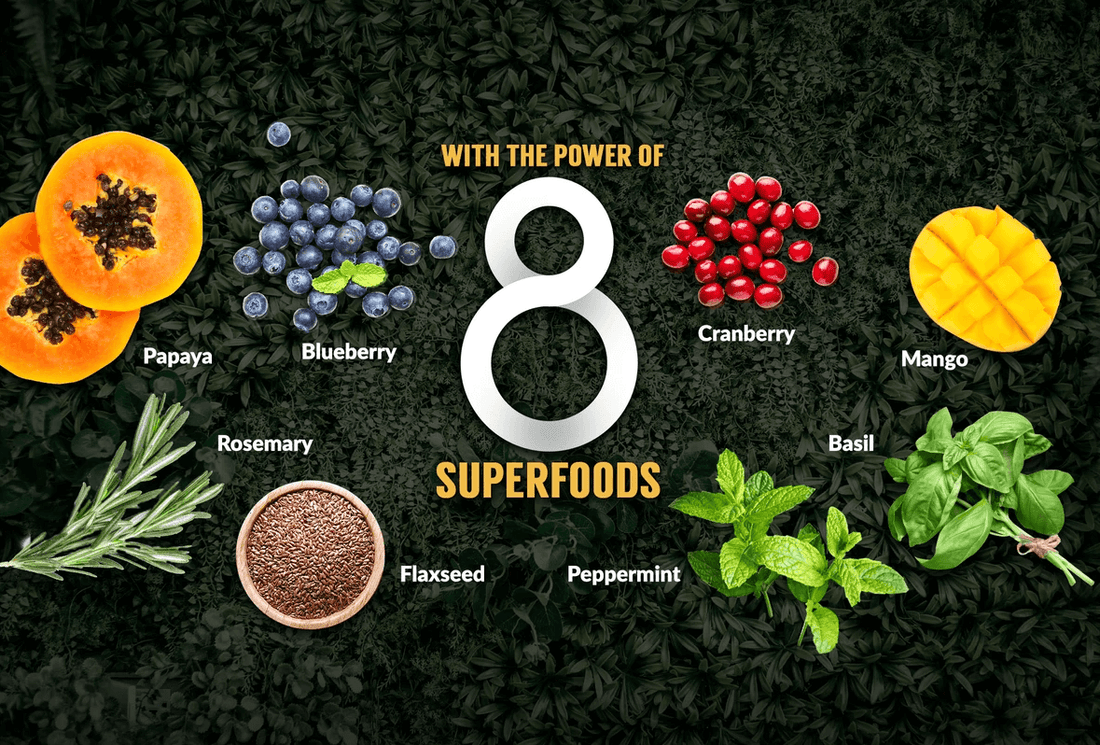 What are the 8 Superfoods and why do dogs need them - Wishbone Pet Foods NZ