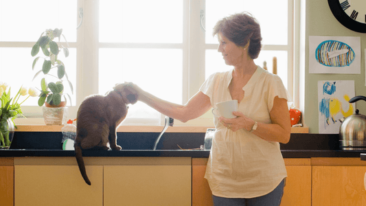 Wishbone Kitchen: Effortless Beef Recipes for On-the-Go Pet Parents - Wishbone Pet Foods NZ