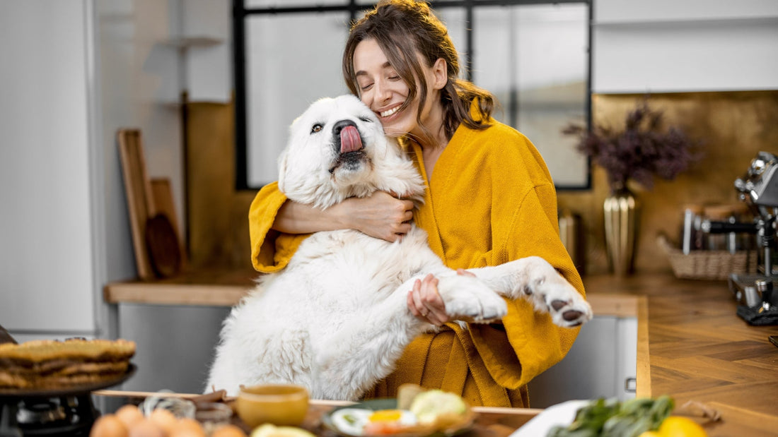 Wishbone Kitchen: Quick and Easy Lamb Recipes for Busy Pet Parents - Wishbone Pet Foods NZ