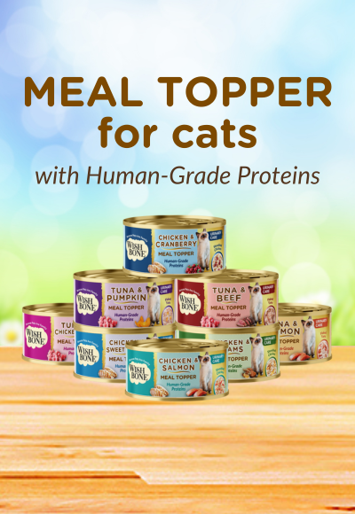 [Bundle Series] Mix Chicken & Tuna Urinary Care Topper in Cans 85g - Wishbone Pet Foods NZ