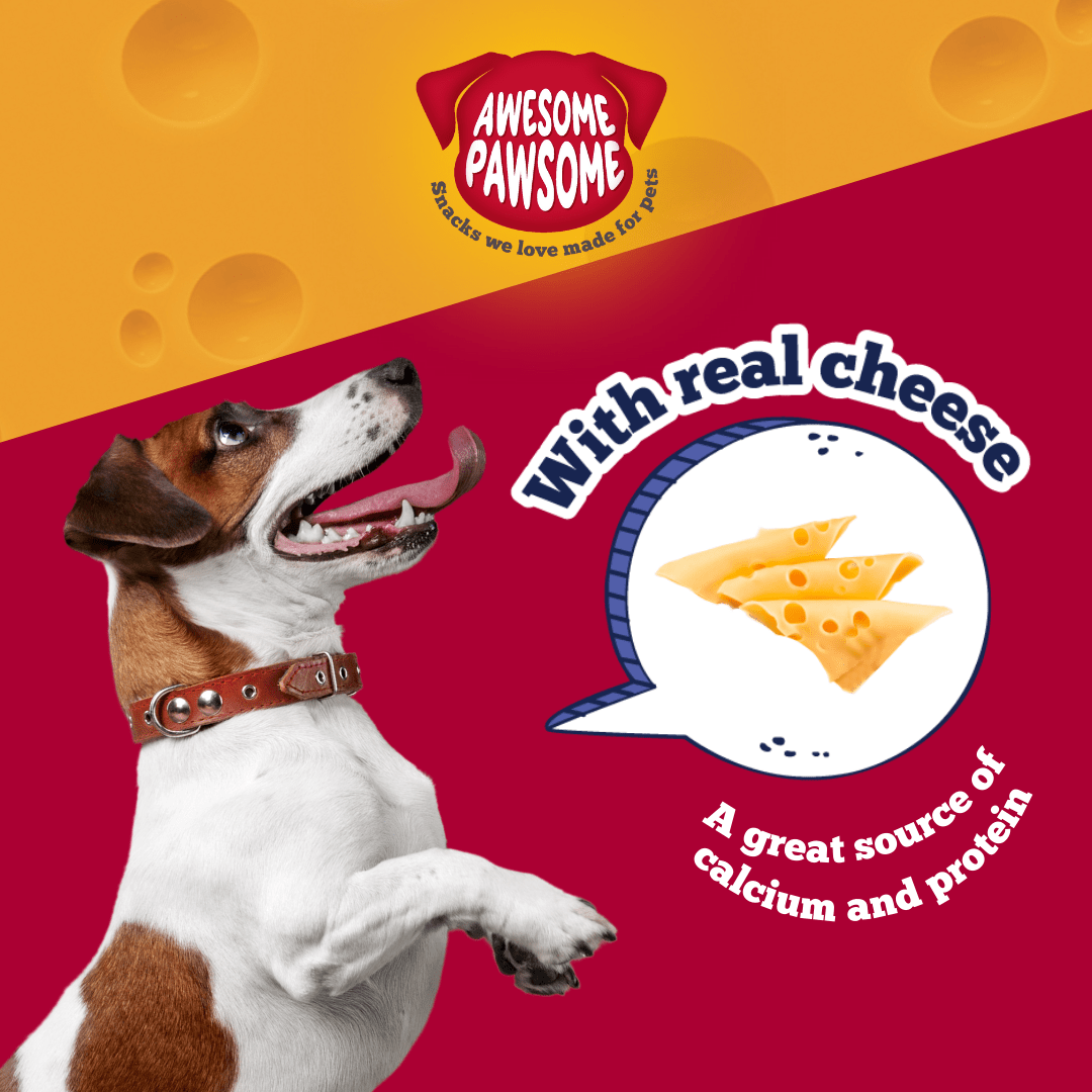 Awesome Pawsome Baconmania 85g - Wishbone Pet Foods NZ