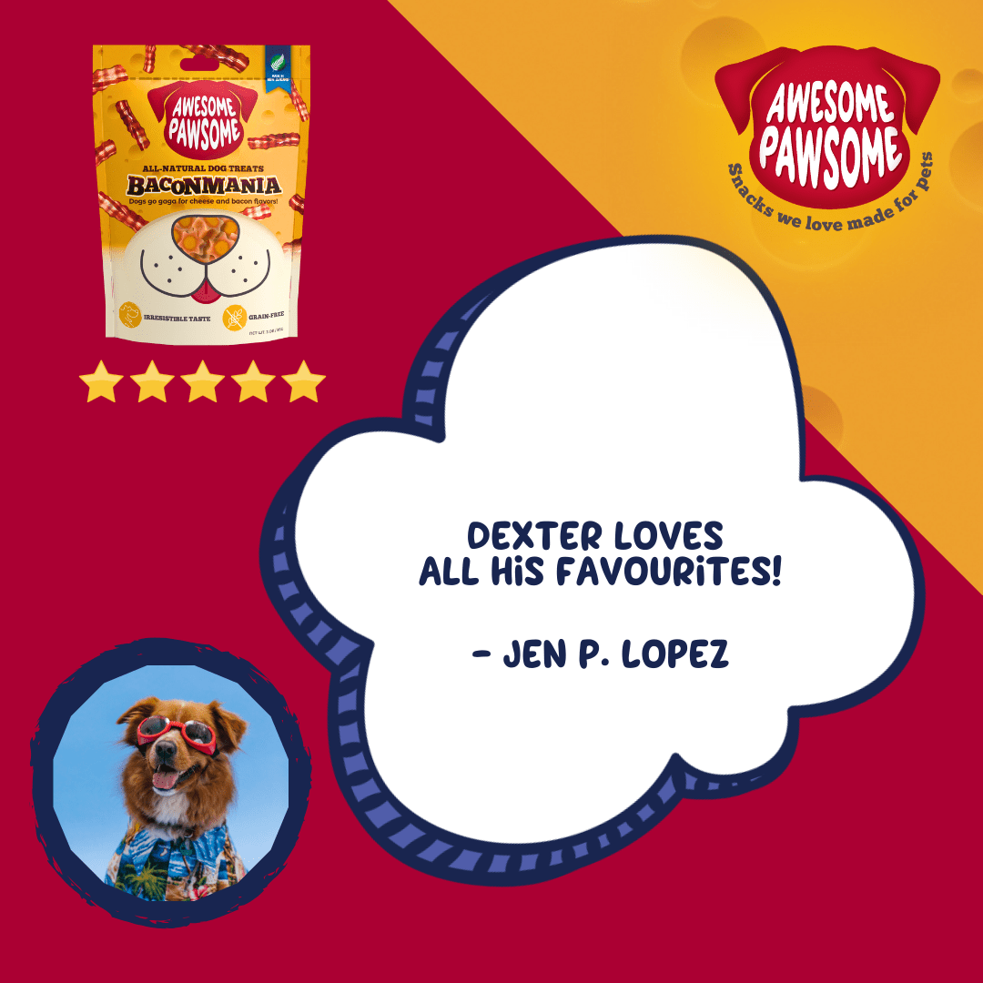 Awesome Pawsome Baconmania 85g - Wishbone Pet Foods NZ
