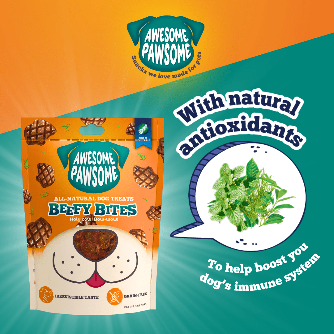 Awesome Pawsome Beefy Bites 85g - Wishbone Pet Foods NZ