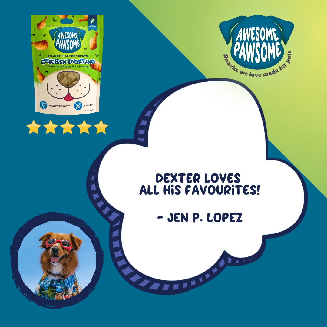 Awesome Pawsome Chicken Dumpling 85g - Wishbone Pet Foods NZ