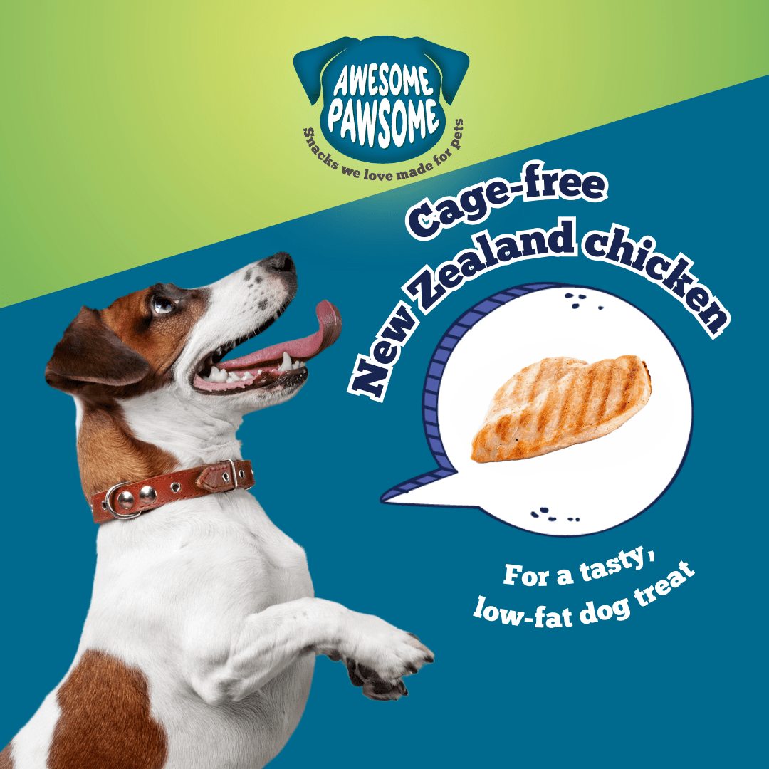 Awesome Pawsome Chicken Dumpling 85g - Wishbone Pet Foods NZ