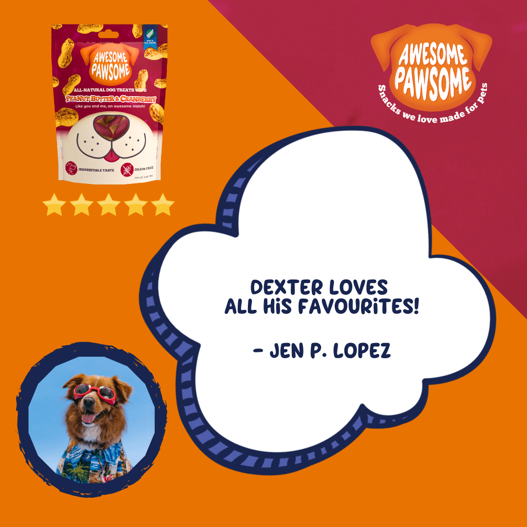 Awesome Pawsome Peanut Butter and Cranberry 85g - Wishbone Pet Foods NZ