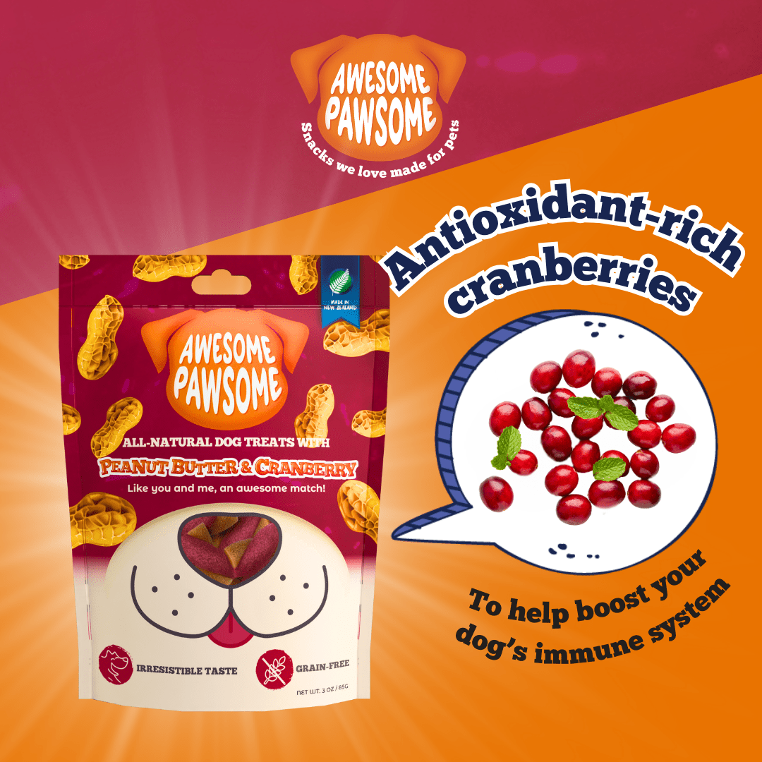 Awesome Pawsome Peanut Butter and Cranberry 85g - Wishbone Pet Foods NZ