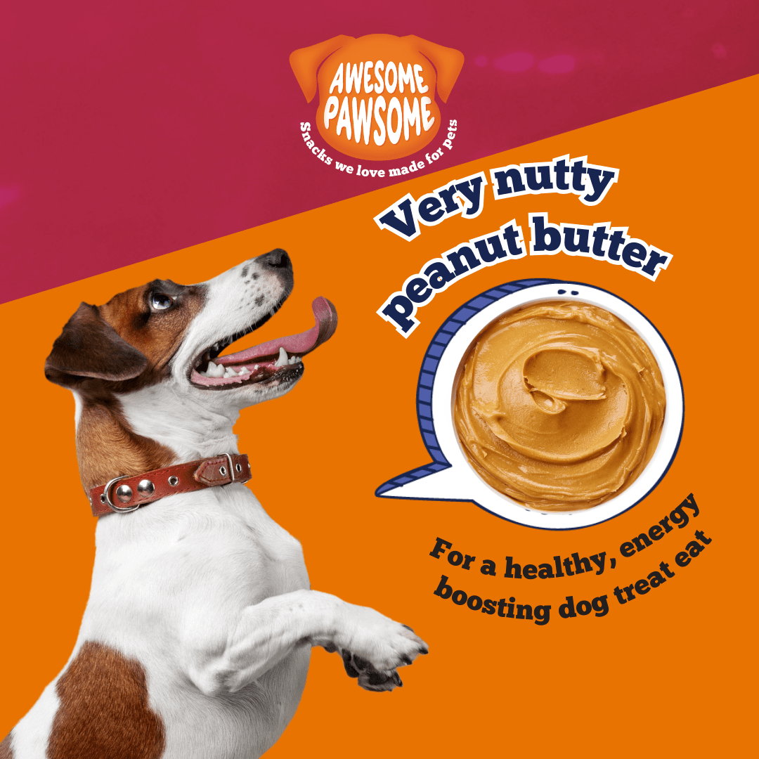 Awesome Pawsome Peanut Butter and Cranberry 85g - Wishbone Pet Foods NZ