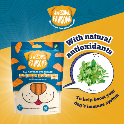 Awesome Pawsome Salmon Supreme 85g - Wishbone Pet Foods NZ