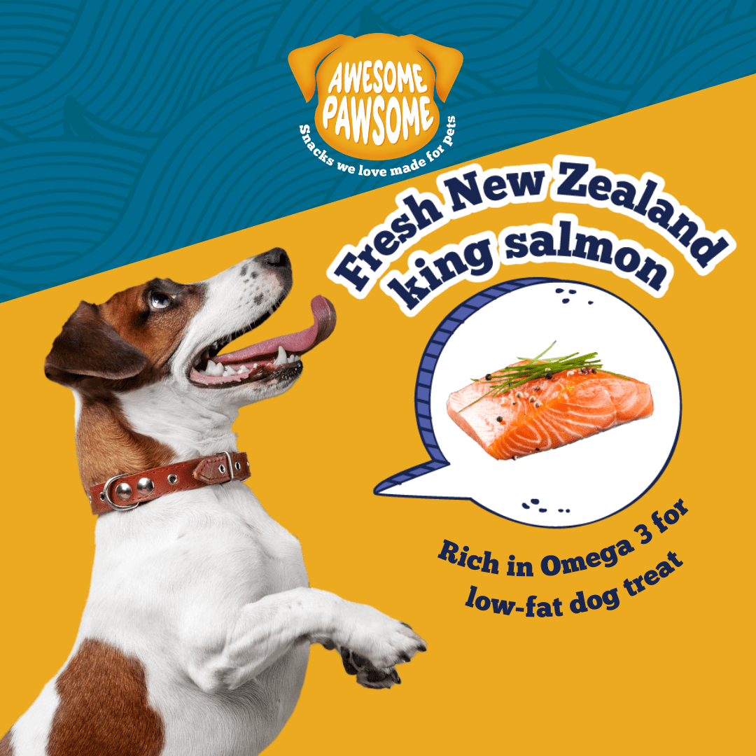 Awesome Pawsome Salmon Supreme 85g - Wishbone Pet Foods NZ