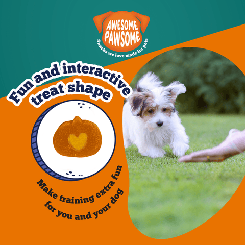 Awesome Pawsome - Super Pumpkin - 85g - Wishbone Pet Foods NZ