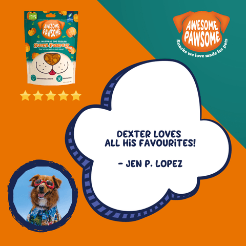 Awesome Pawsome - Super Pumpkin - 85g - Wishbone Pet Foods NZ