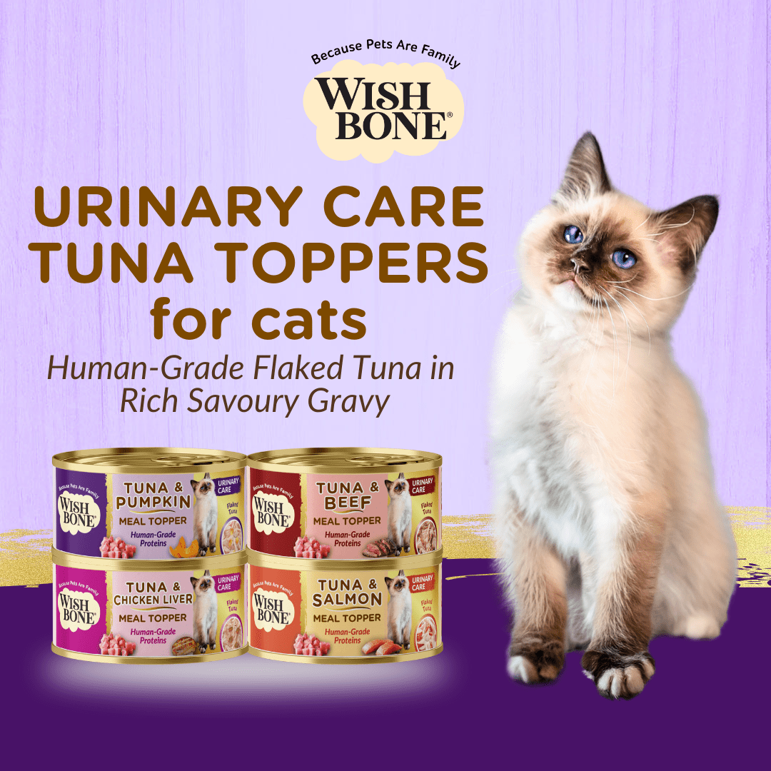 Human-grade tuna cat topper by Wishbone