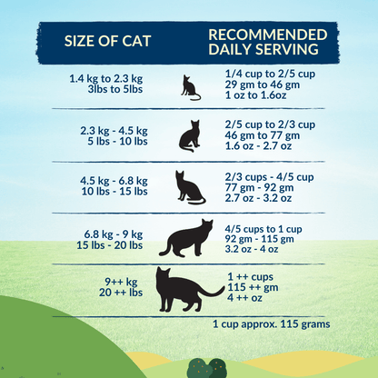 Healthy chicken recipe dry cat food