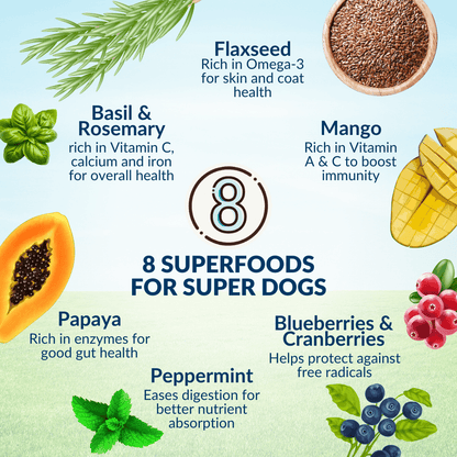Natural New Zealand chicken cat food for cats