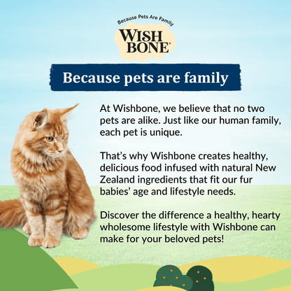 Wishbone Roost dry cat food bag front