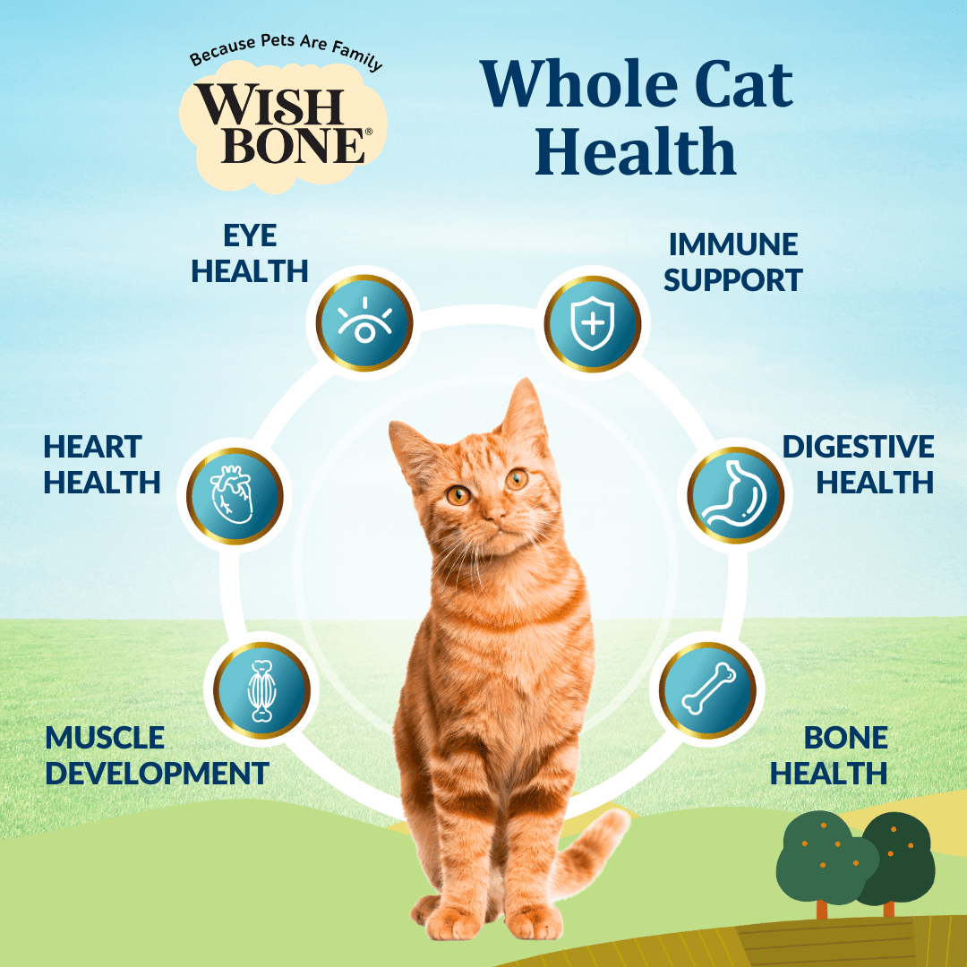 [Cat Trial Pack] Wishbone Graze New Zealand Beef and Lamb Dry Cat Food - Wishbone Pet Foods NZ