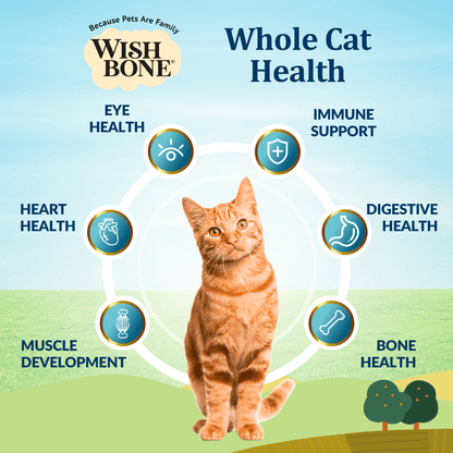 [Cat Trial Pack] Wishbone Graze New Zealand Beef and Lamb Dry Cat Food - Wishbone Pet Foods NZ