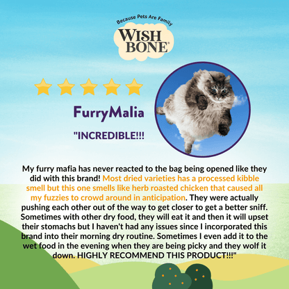 [Cat Trial Pack] Wishbone Ocean New Zealand King Salmon Dry Cat Food - Wishbone Pet Foods NZ