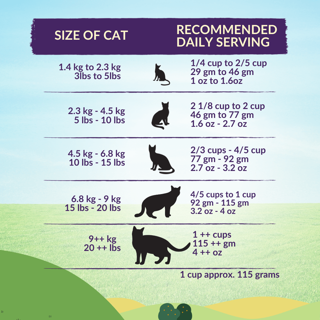 [Cat Trial Pack] Wishbone Ocean New Zealand King Salmon Dry Cat Food - Wishbone Pet Foods NZ