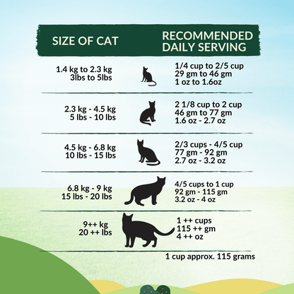 [Cat Trial Pack] Wishbone Pasture New Zealand Lamb Dry Cat Food - Wishbone Pet Foods NZ