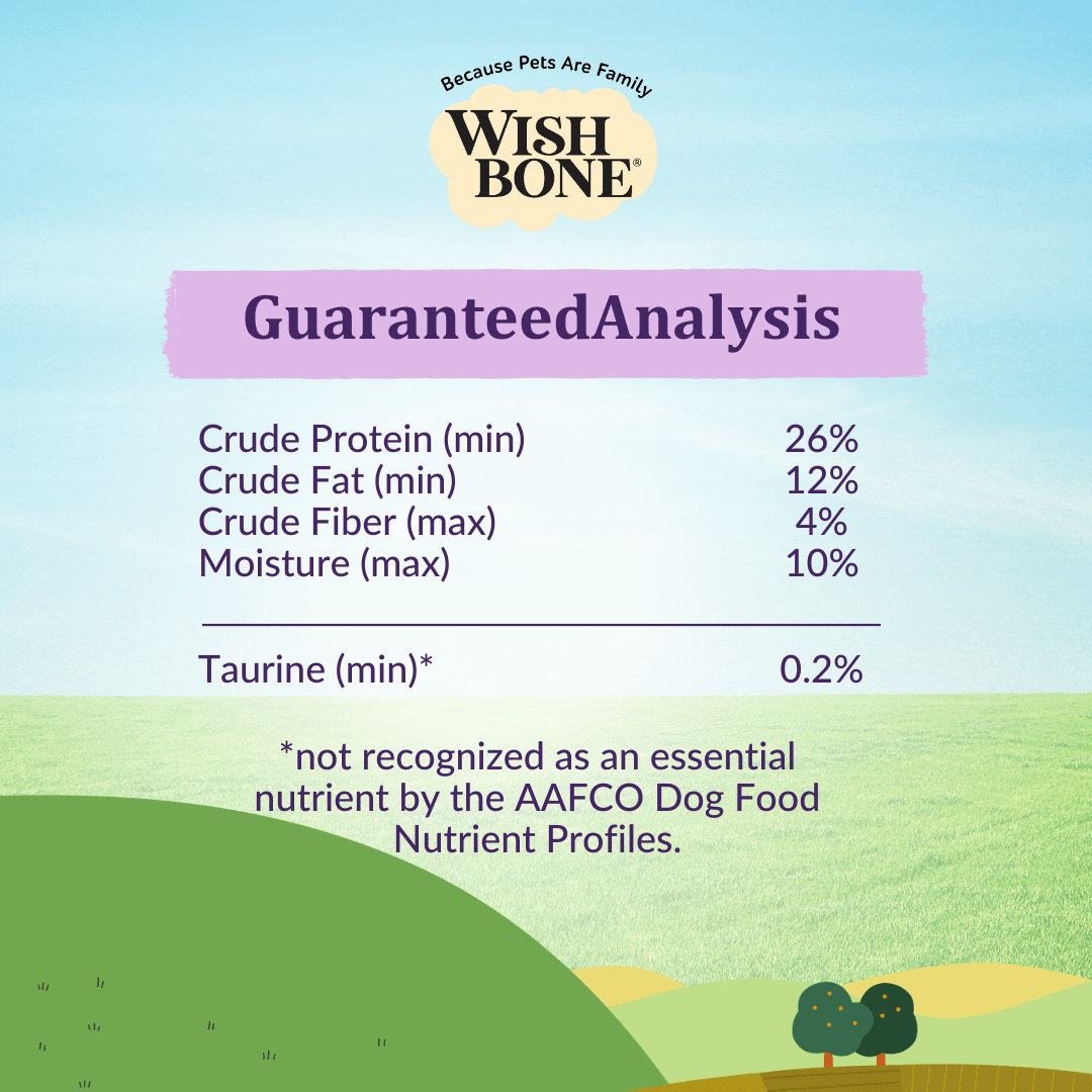Grain free dog food with salmon