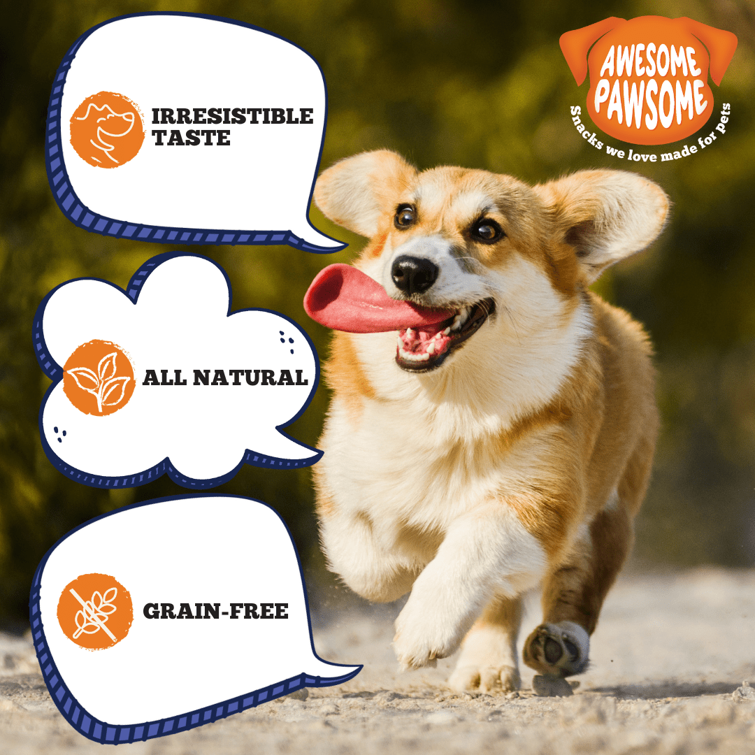 all natural dog treats