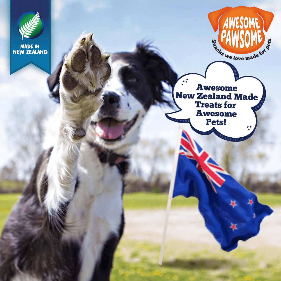 natural dog treats NZ