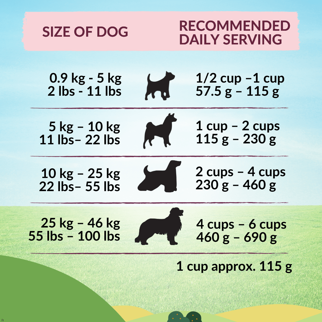 [Dog Trial Pack] Wishbone Graze New Zealand Beef and Lamb Dry Dog Food - Wishbone Pet Foods NZ