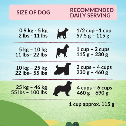 [Dog Trial Pack] Wishbone Graze New Zealand Beef and Lamb Dry Dog Food - Wishbone Pet Foods NZ