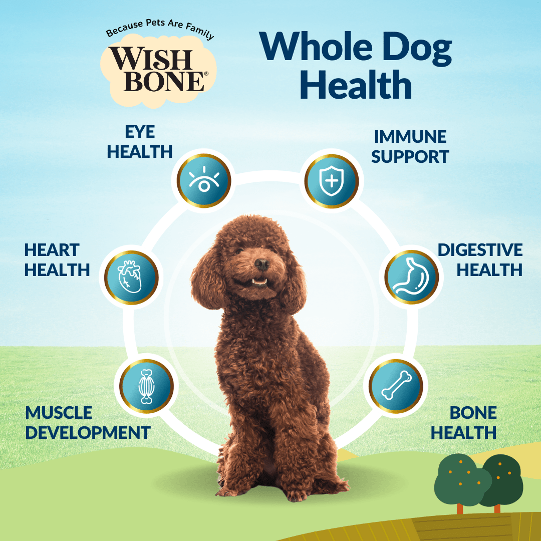 [Dog Trial Pack] Wishbone Ocean New Zealand King Salmon Dry Dog Food - Wishbone Pet Foods NZ