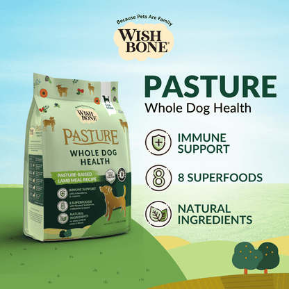 [Dog Trial Pack] Wishbone Pasture New Zealand Lamb Dry Dog Food - Wishbone Pet Foods NZ