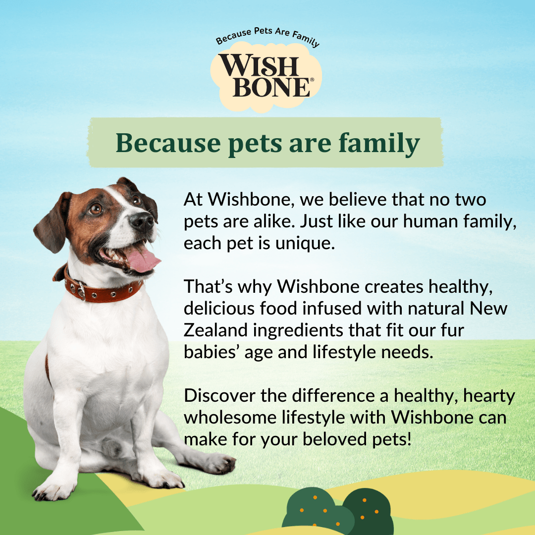 [Dog Trial Pack] Wishbone Pasture New Zealand Lamb Dry Dog Food - Wishbone Pet Foods NZ