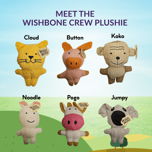 [NOT FOR SALE] Wishbone Crew Plushies – FREE Gift with Purchase - Wishbone Pet Foods NZ
