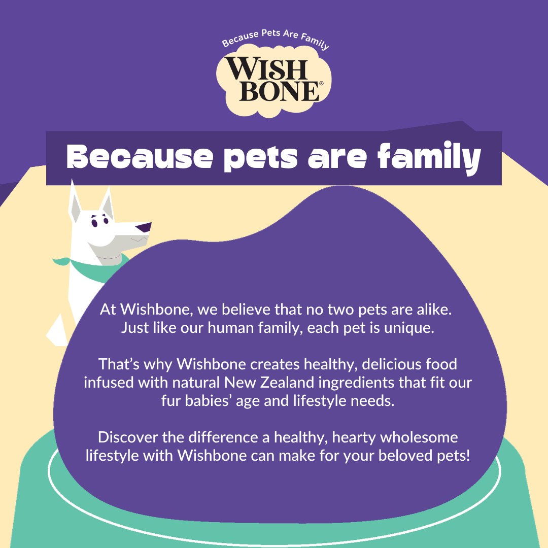 Wishbone Air-Dried Beef & Lamb Dog Food 454g - Wishbone Pet Foods NZ