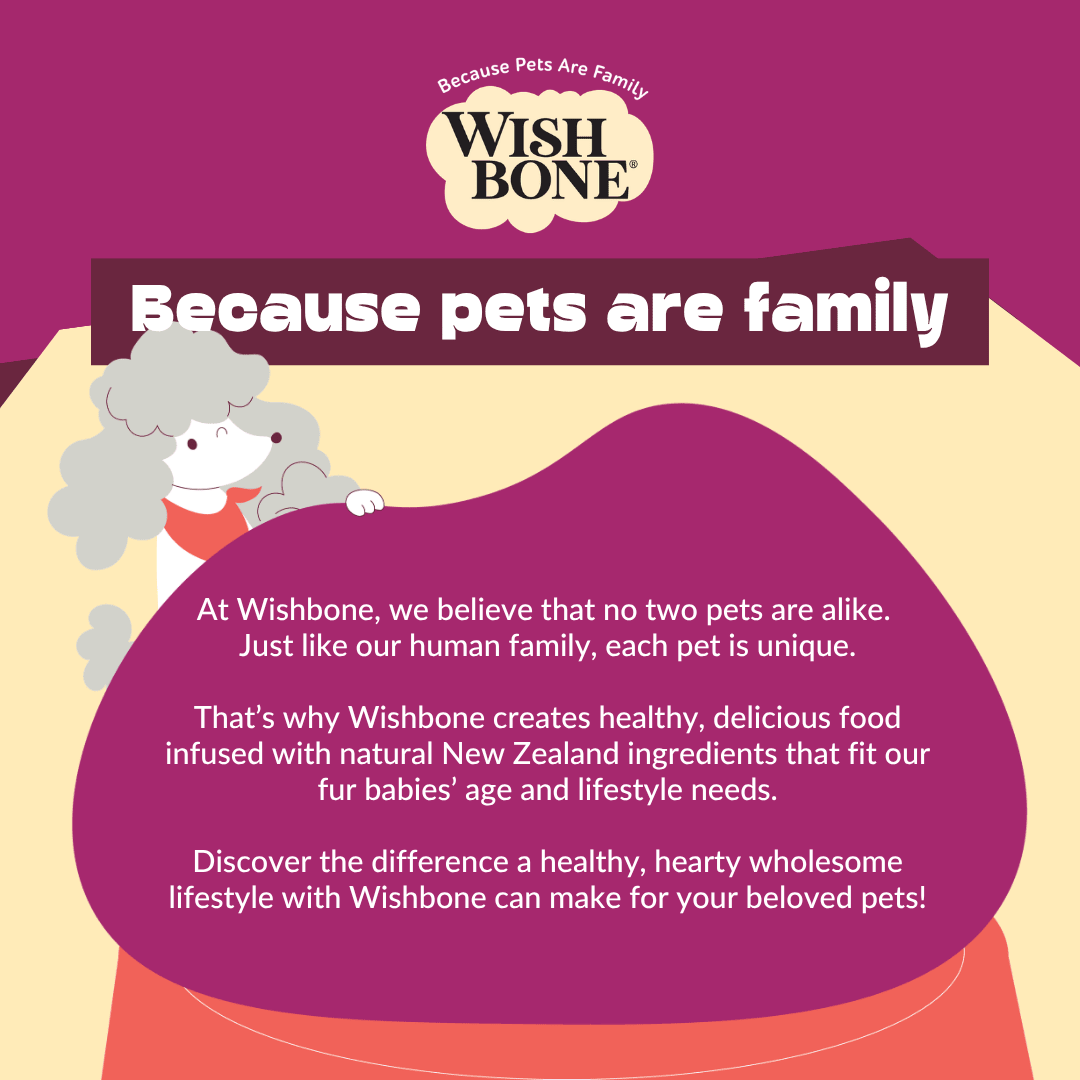 Wishbone Air-Dried Chicken & Beef Dog Food 454g - Wishbone Pet Foods NZ
