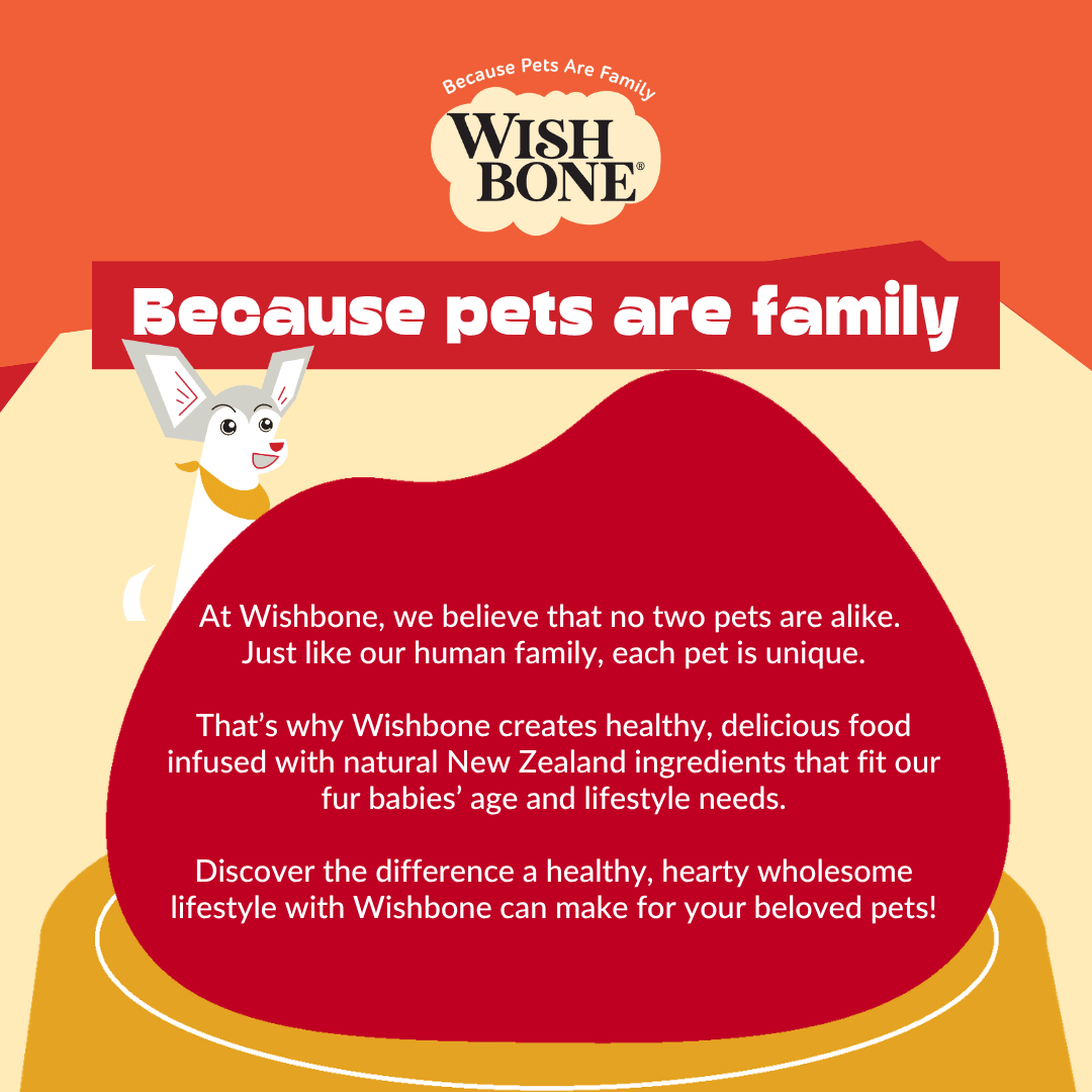 Wishbone Air-Dried Lamb Dog Food 454g - Wishbone Pet Foods NZ