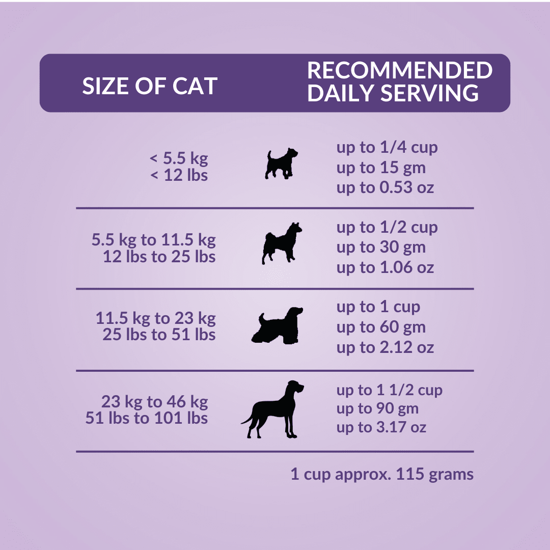 Wishbone Beef & Ocean Fish Freeze - Dried Raw Topper for Cats 350g - Wishbone Pet Foods NZ