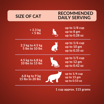 Wishbone Beef & Venison Freeze - Dried Raw Topper for Cats 350g - Wishbone Pet Foods NZ
