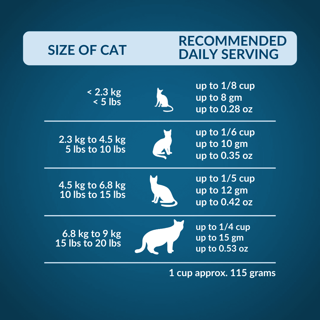 Wishbone Chicken & Rabbit Freeze - Dried Topper for Cats 350g - Wishbone Pet Foods NZ
