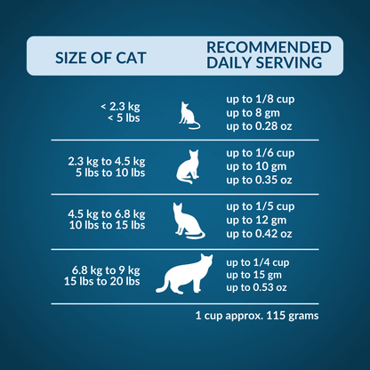 Wishbone Chicken & Rabbit Freeze - Dried Topper for Cats 350g - Wishbone Pet Foods NZ