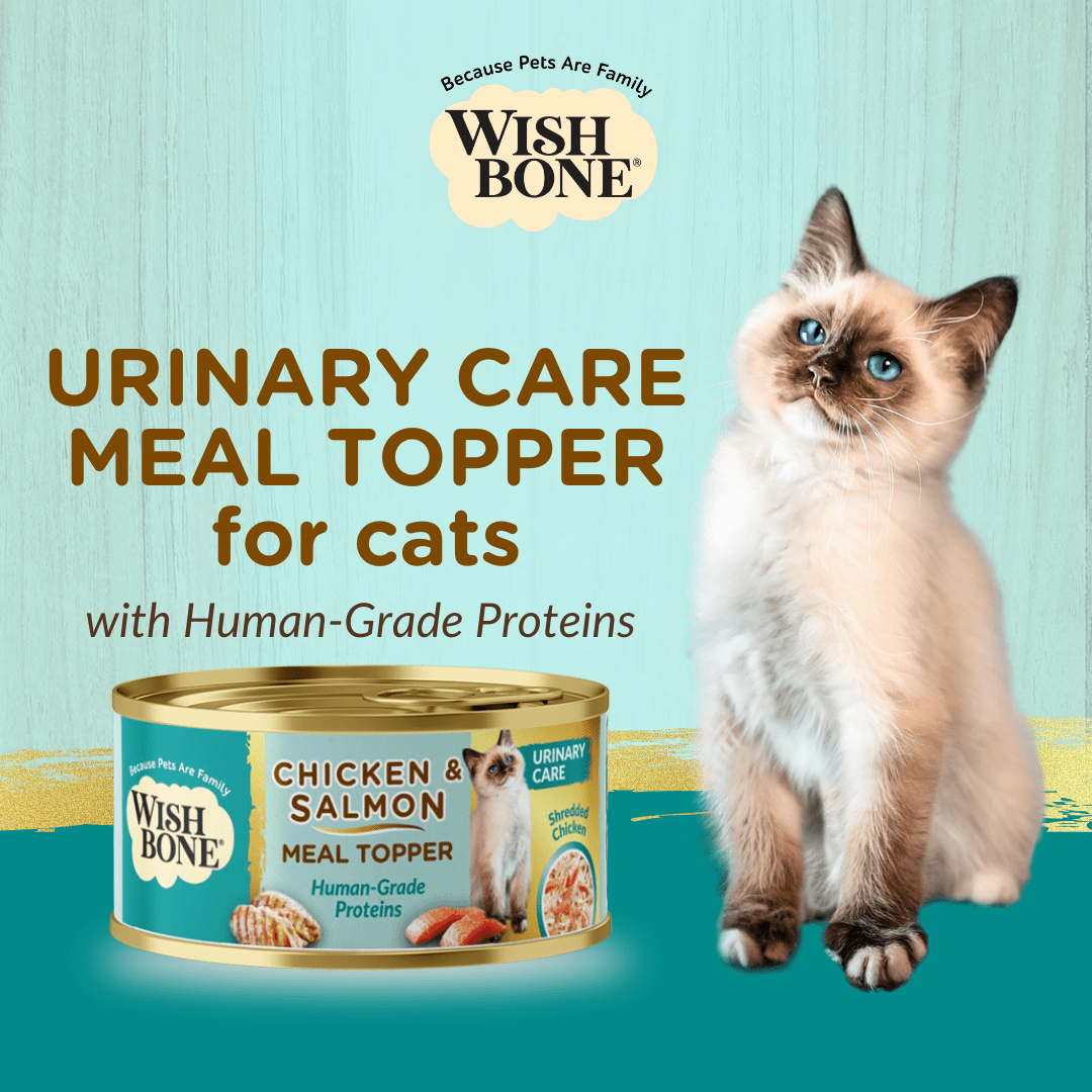 Wishbone Chicken & Salmon - Cat Urinary Care Topper in Cans 85g - Wishbone Pet Foods NZ