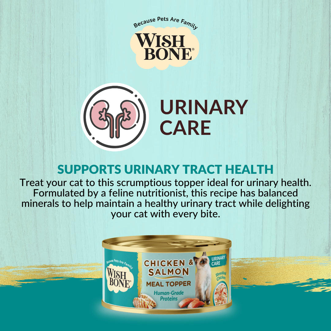 Wishbone Chicken & Salmon - Cat Urinary Care Topper in Cans 85g - Wishbone Pet Foods NZ