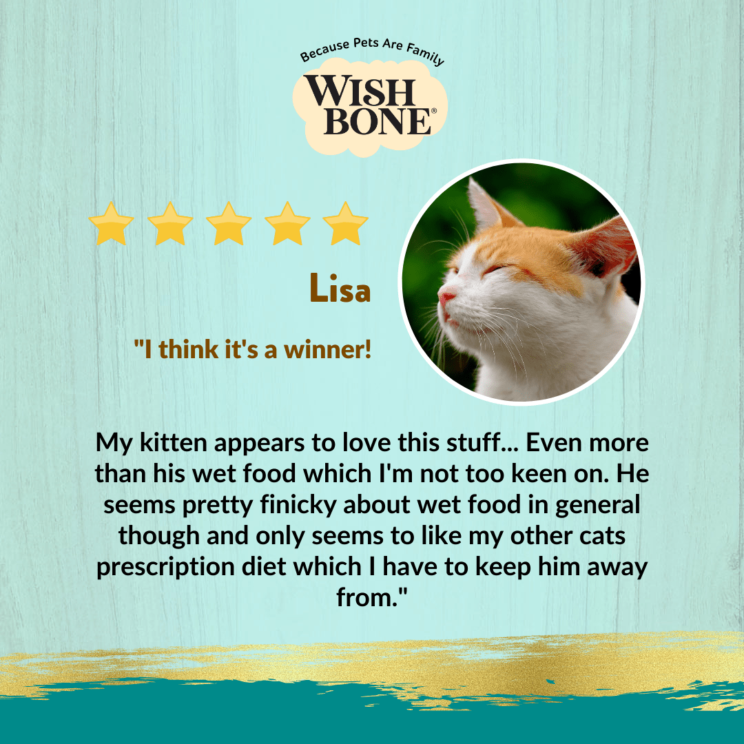 Wishbone Chicken & Salmon - Cat Urinary Care Topper in Cans 85g - Wishbone Pet Foods NZ