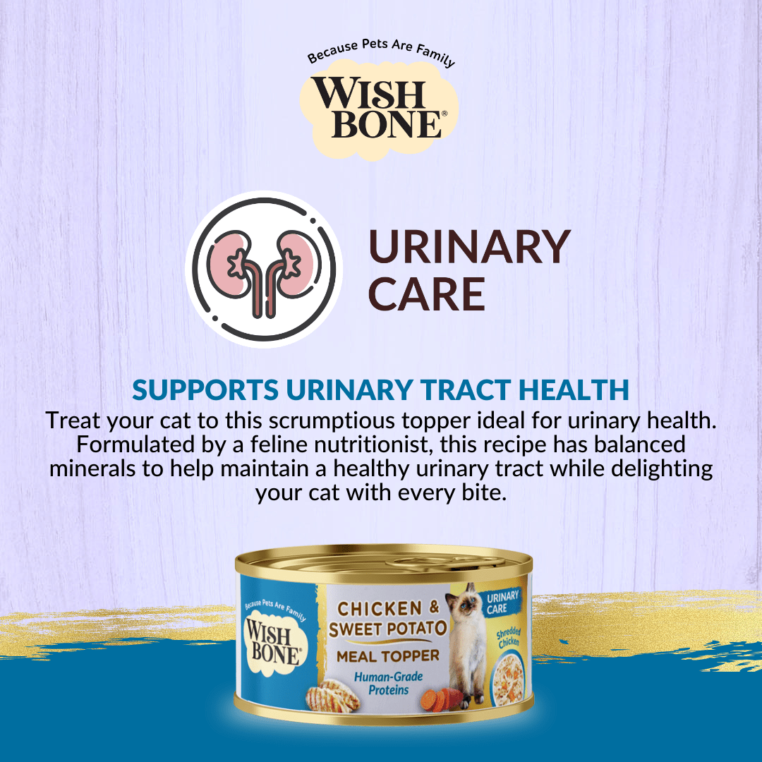 Wishbone Chicken & Sweet Potato - Cat Urinary Care Topper in Cans 85g - Wishbone Pet Foods NZ