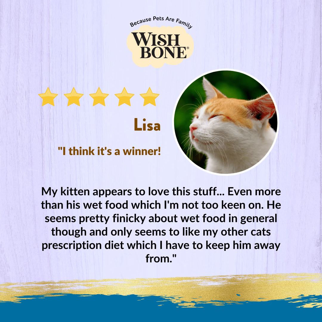 Wishbone Chicken & Sweet Potato - Cat Urinary Care Topper in Cans 85g - Wishbone Pet Foods NZ